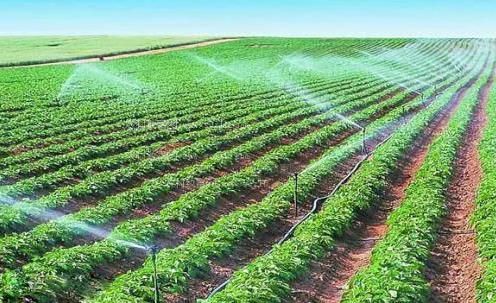 美女的小肌肌视频免费农田高 效节水灌溉